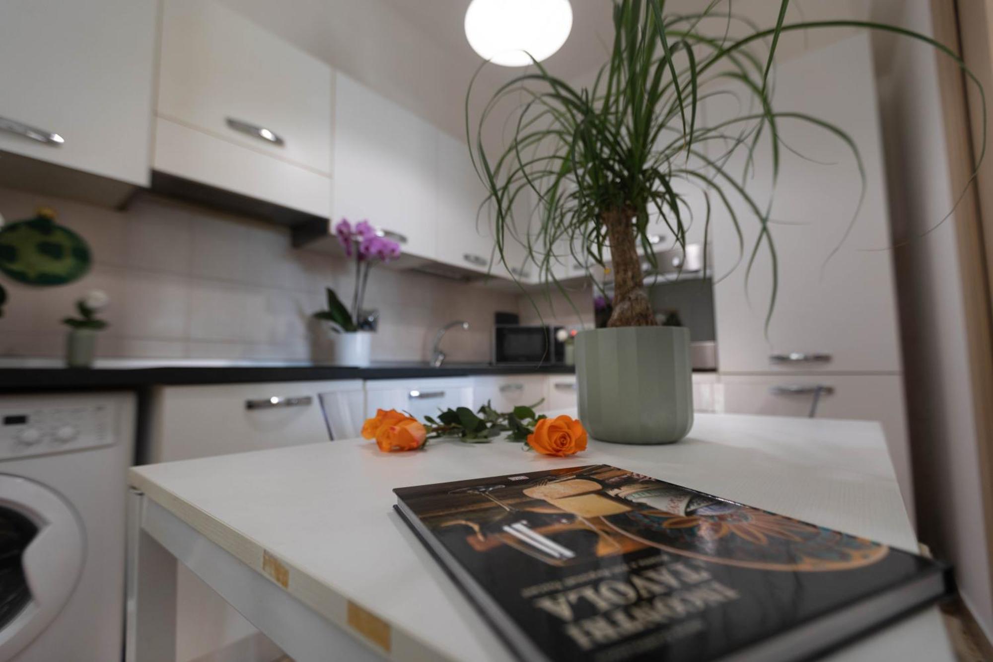 Oasis Appartement *