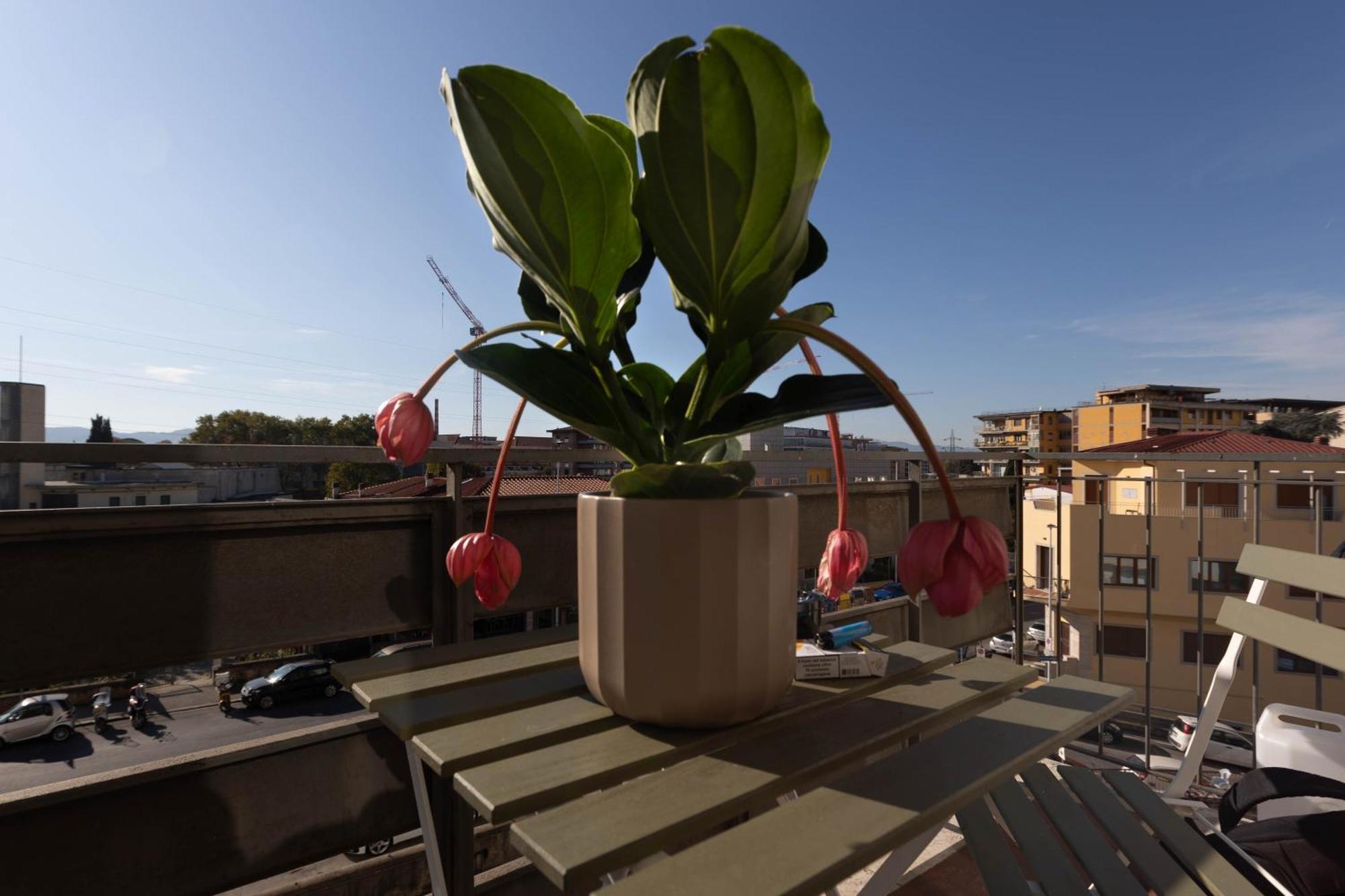 Appartement Oasis *