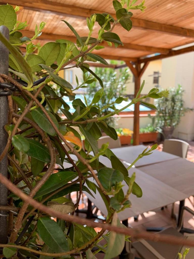 Souvenir Cestello Appartement *