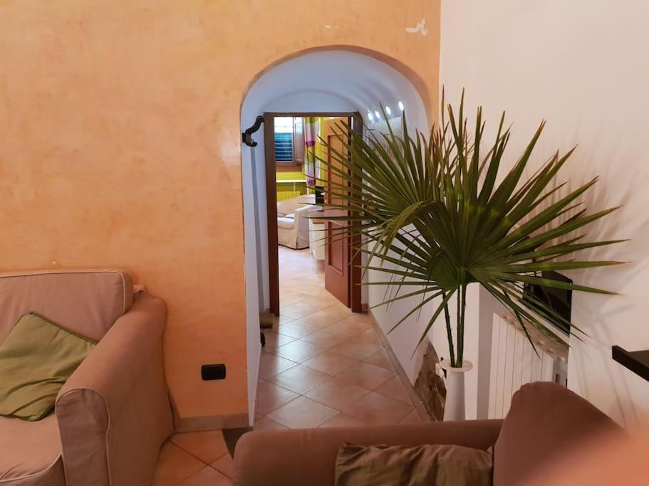 Charming Garden In Appartamento *