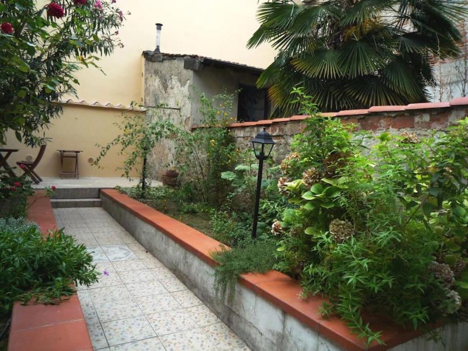 Charming Garden In * Firenze