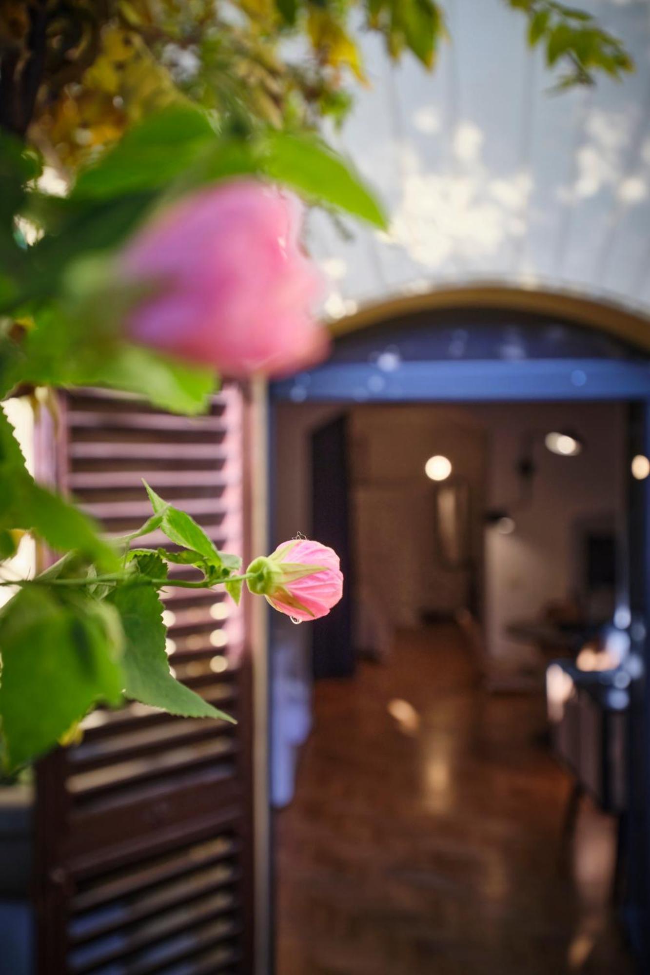 Enchanting With Patio, Lungarno
