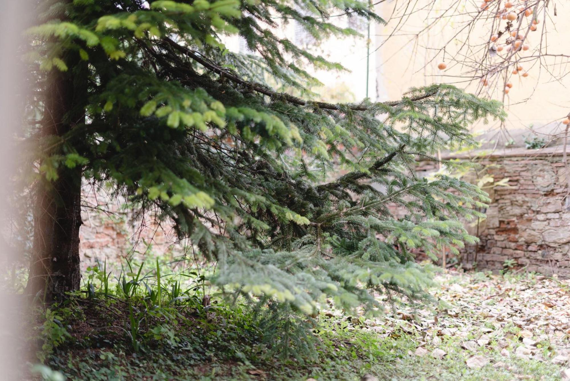 Appartement Charming In The Heart Of Santo Spirito