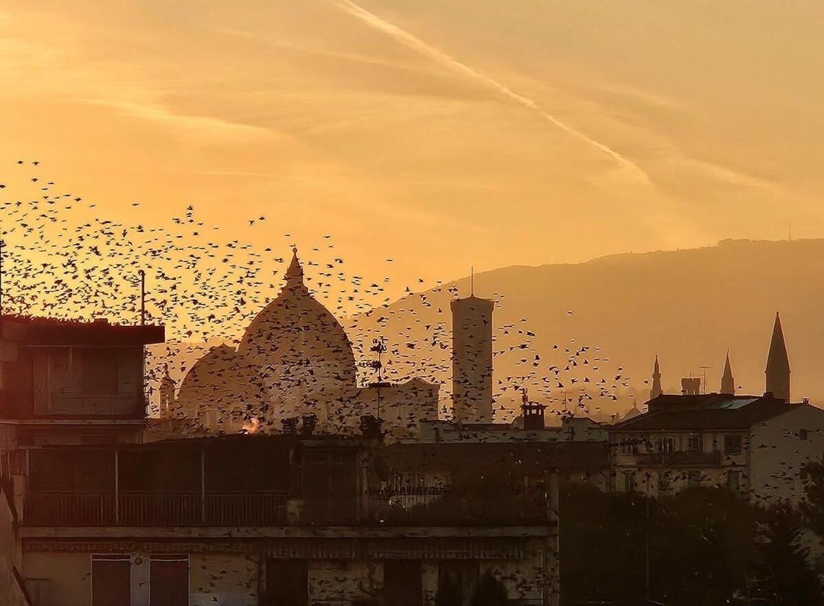 Appartamento Casa Dami