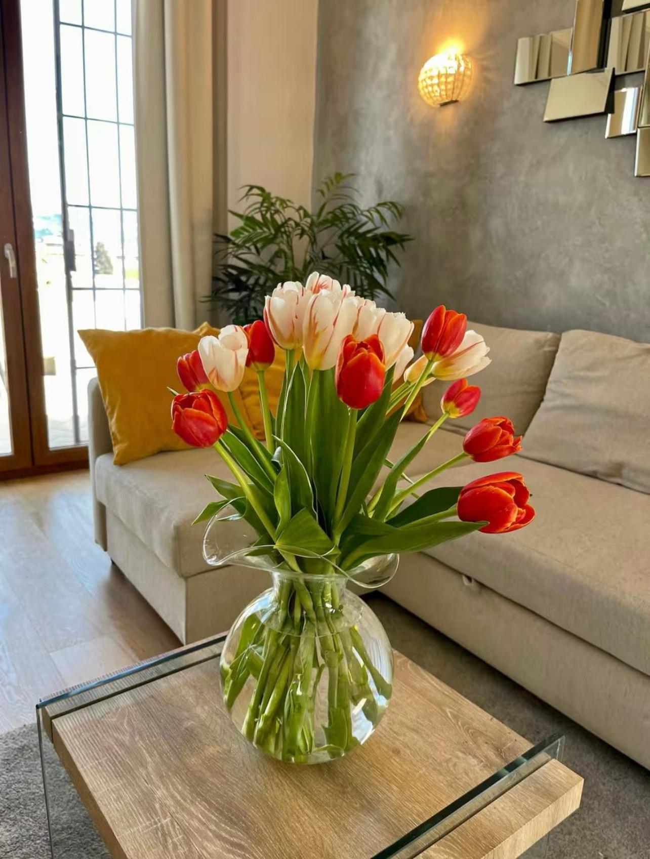 Appartement Penthouse With Private Terrace On