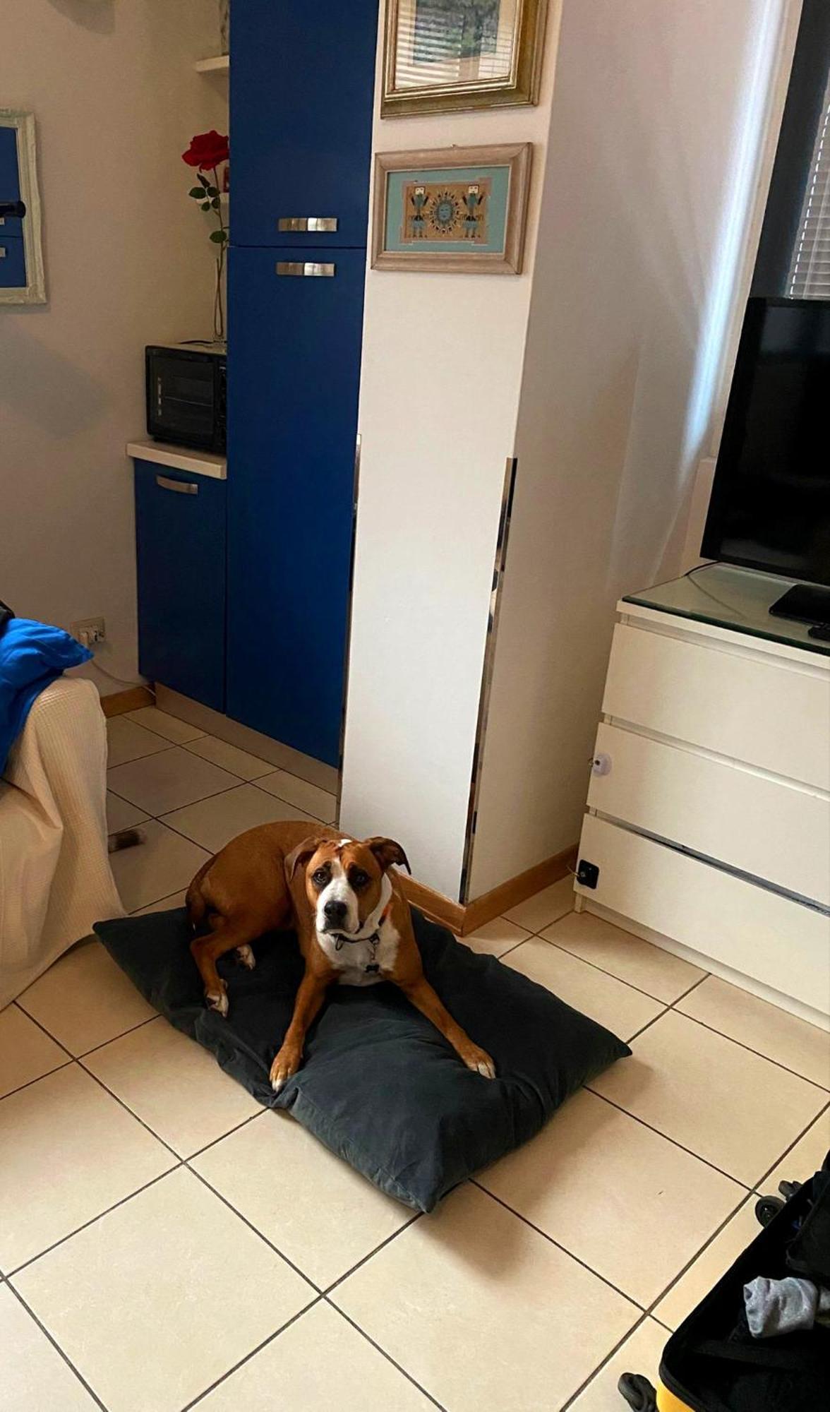 Gemme Fiorentine In Front Of The Train Station 5 Minutes From The Centre Free Parking Appartement *