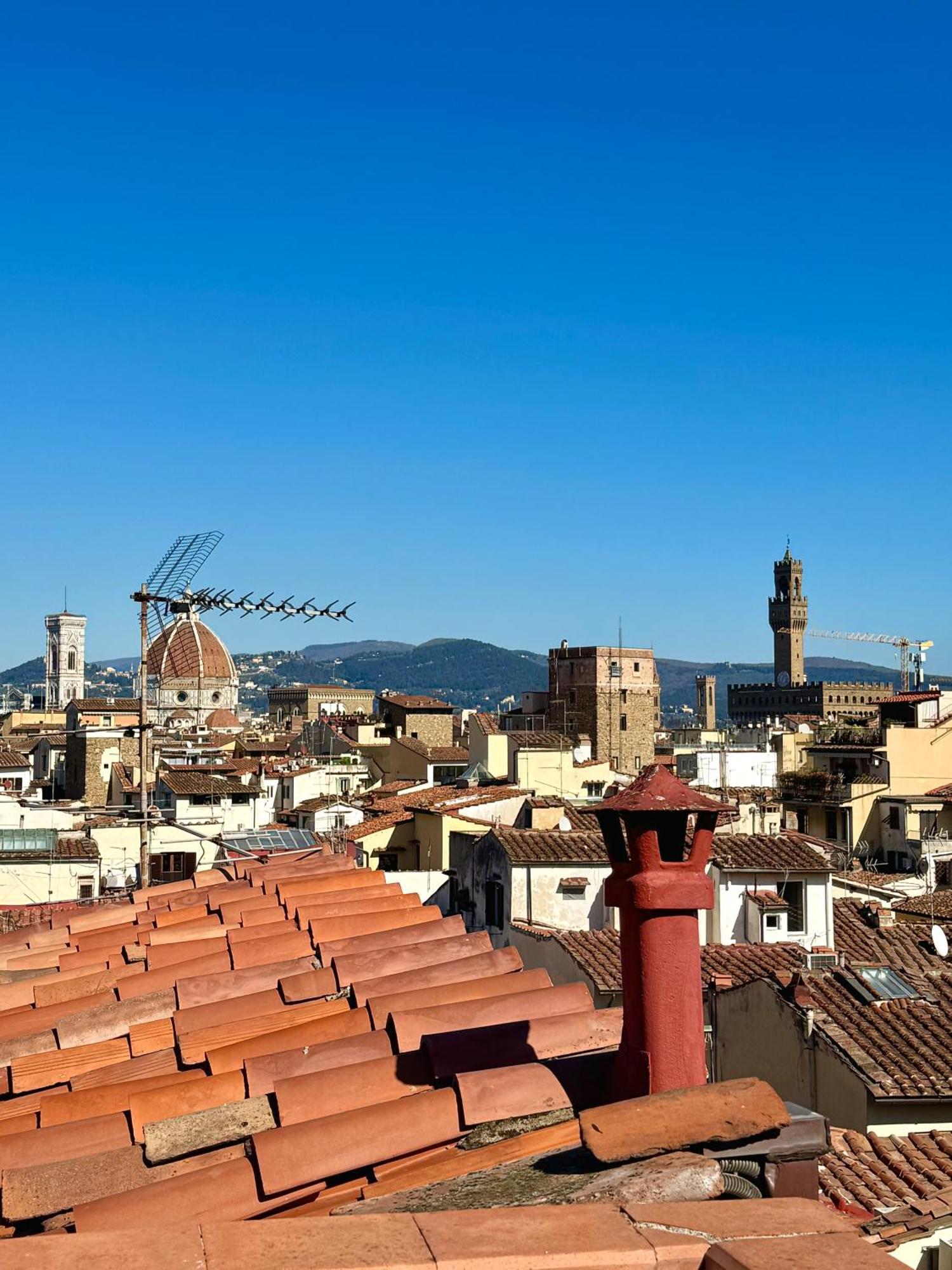 Oltrarno Terrace Apartment *
