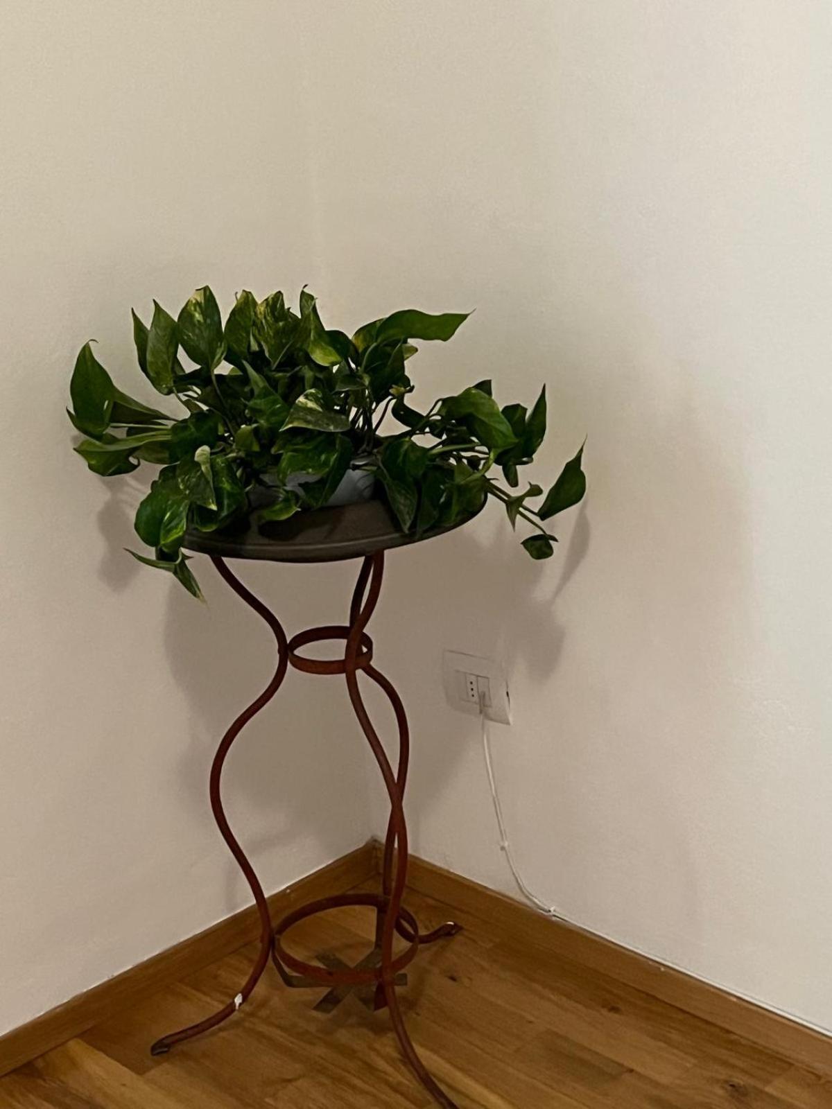 Appartement Coach 6 Florence
