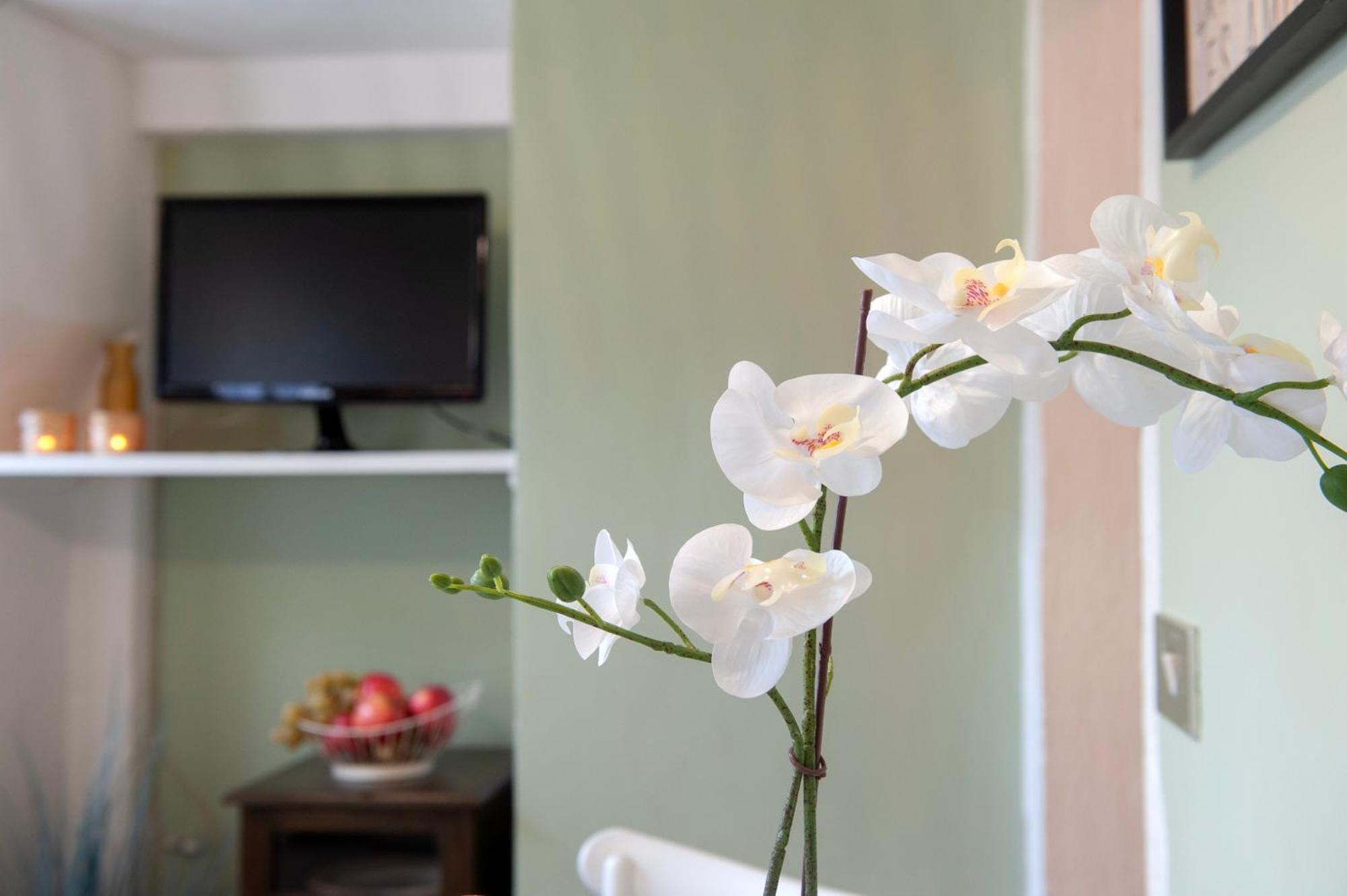 Sweet Pergola - Flo Appartamento *