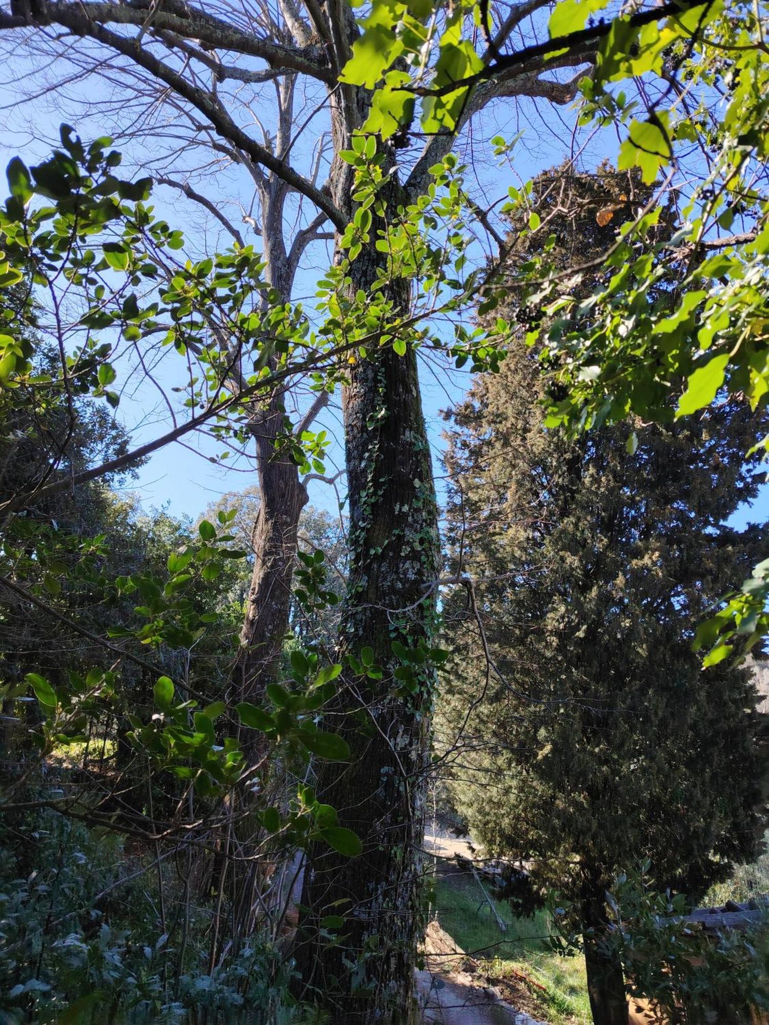 Turisti Nella Natura In Citta D'arte Camping
