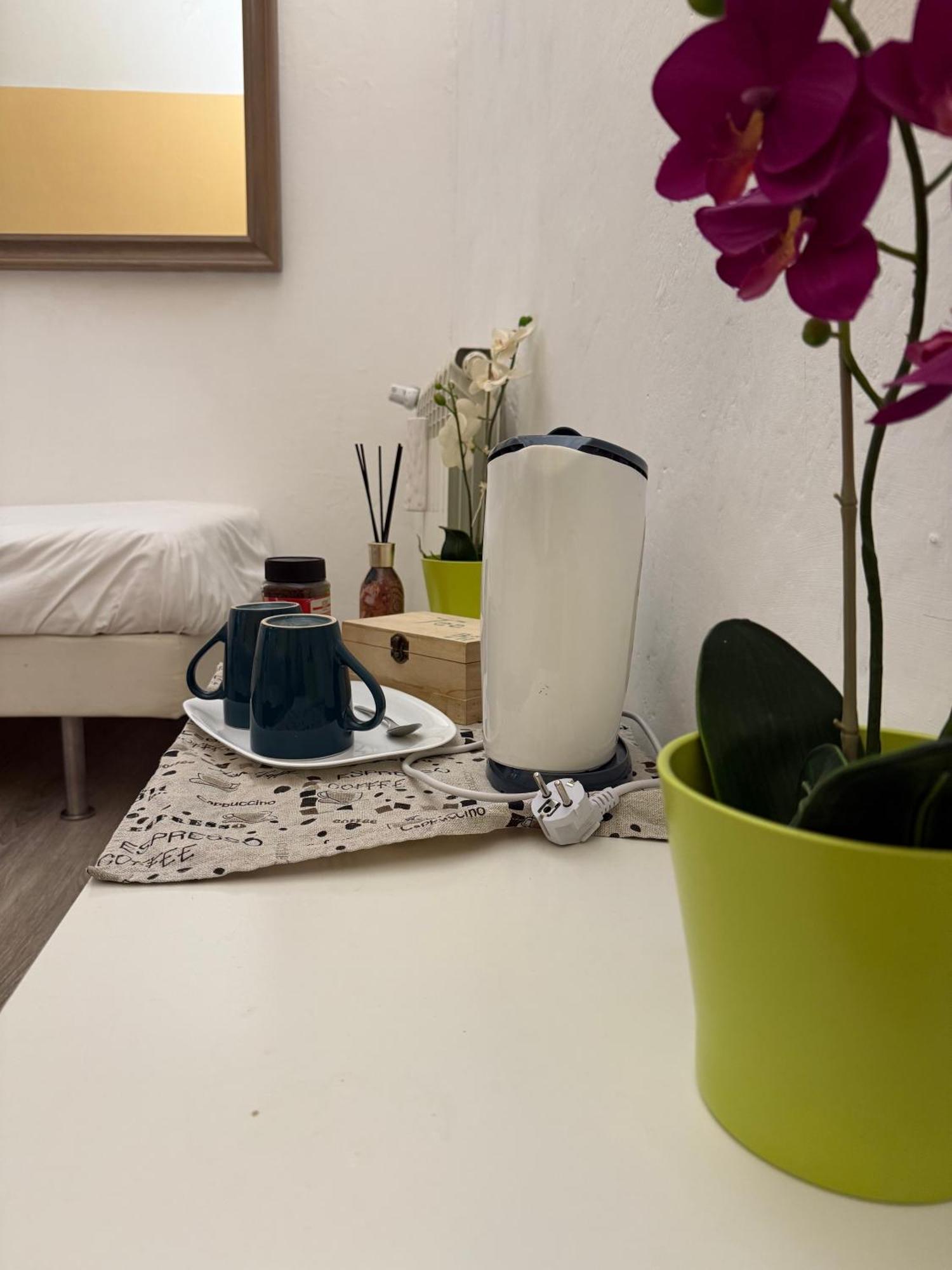 Bronze Horse Guest house Florence