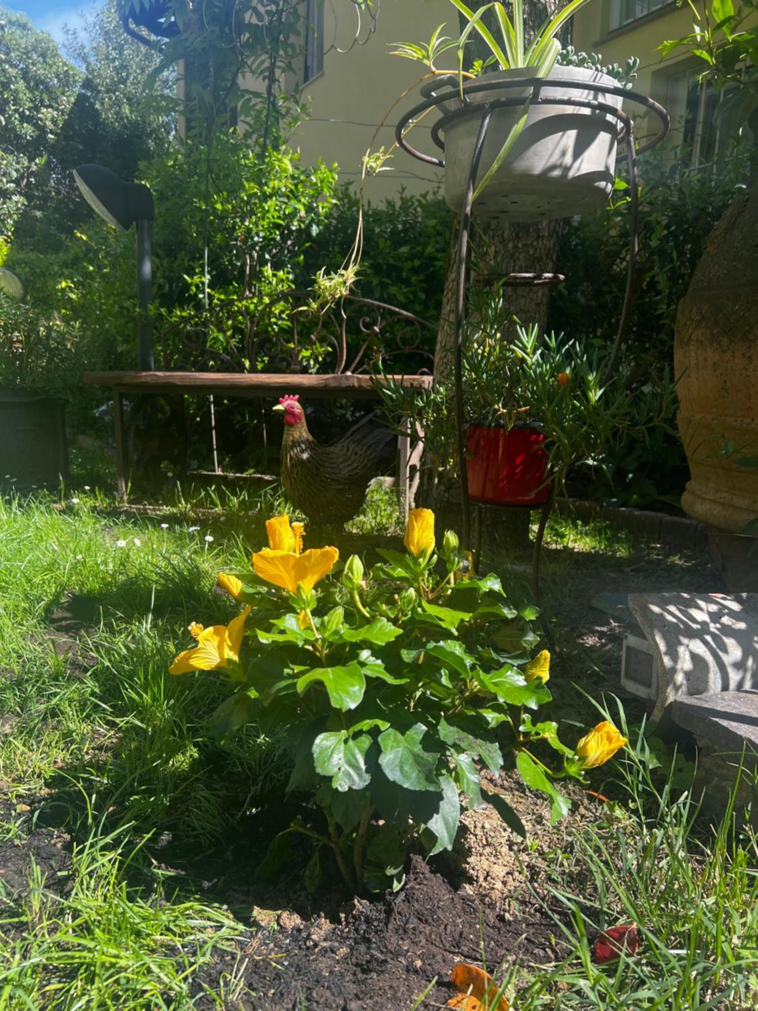 La Serra Sognante, Un Rifugio Incantevole Tra Natura E Relax Holiday home Florence