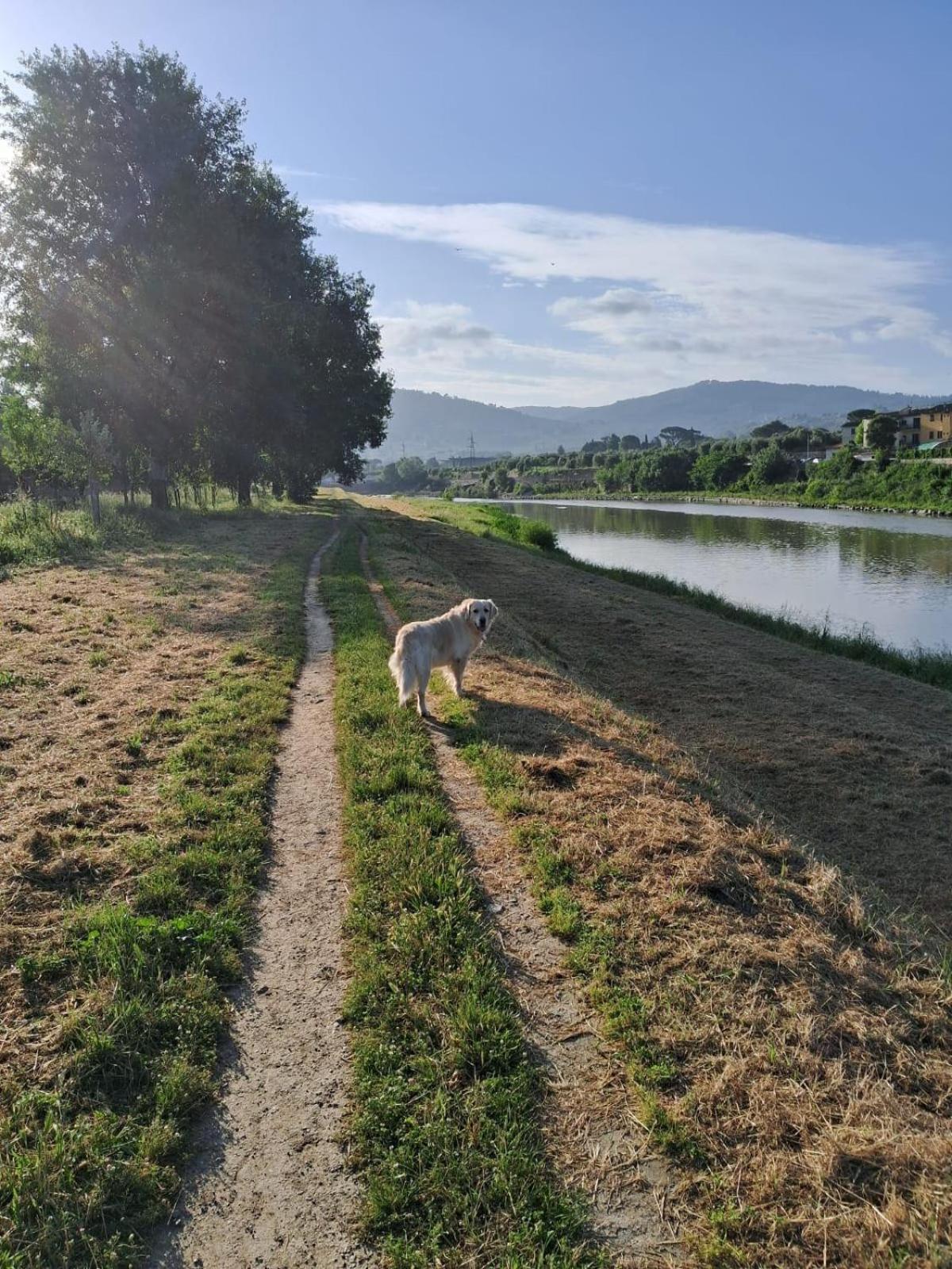 Appartement Comodo Con 2 Giardini E Vasca Idromassaggio *