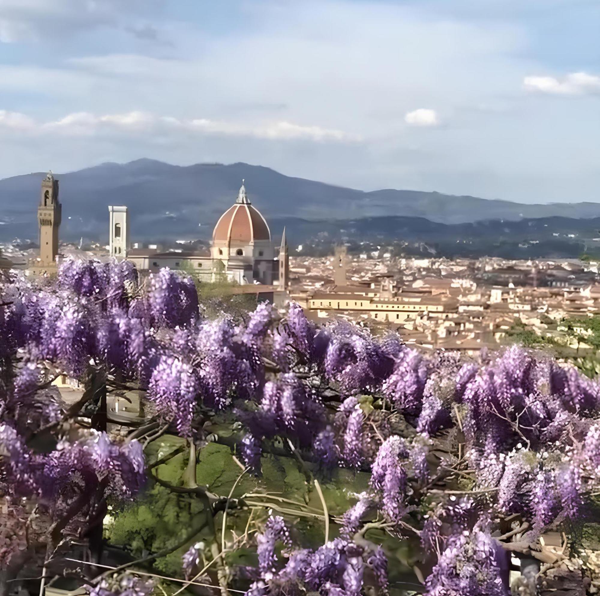 Costa San Giorgio, 65 - Gemma Incastonata A Pochi Passi Da Ponte Vecchio Appartement