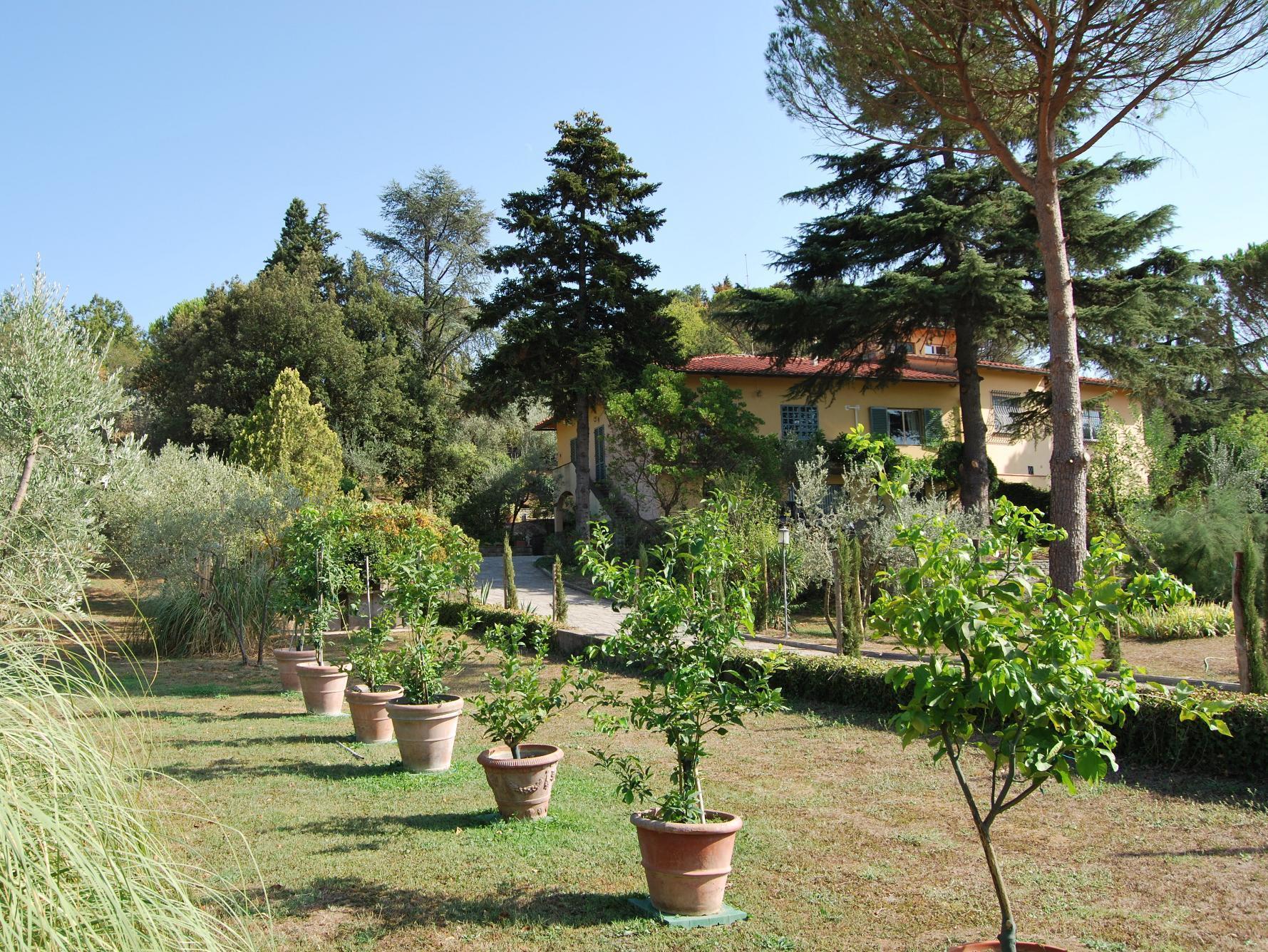 Acomodação com café da manhã  Ulivi Di Castello 3*