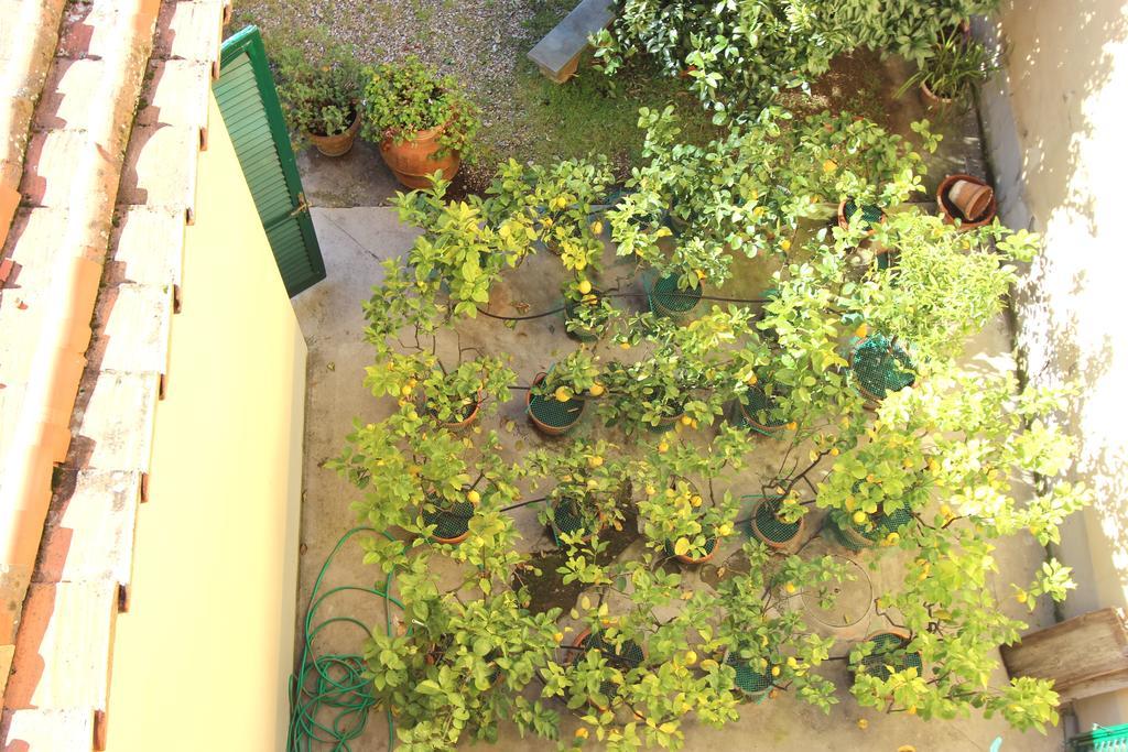 Casa Per Ferie Regina Santo Rosario Bed & Breakfast Florence