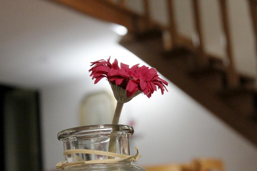 Guest house Santa Croce Exclusive *