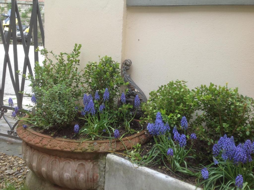 Al Giardino Delle Rose Guest house 3*