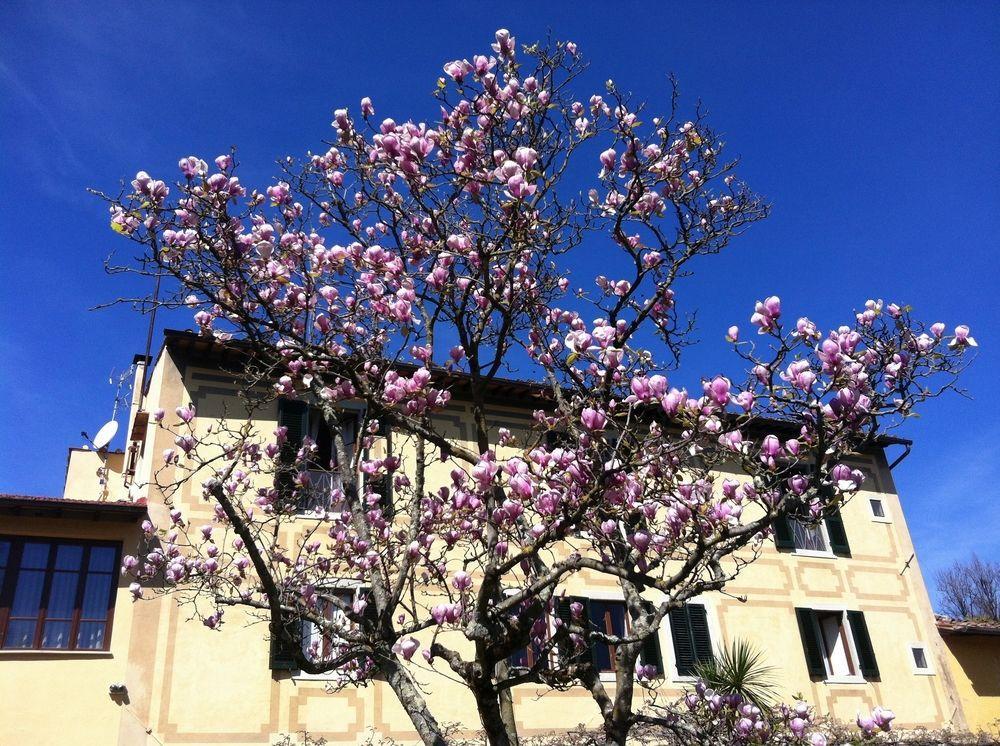 Ape Rosa Relais Bed & Breakfast