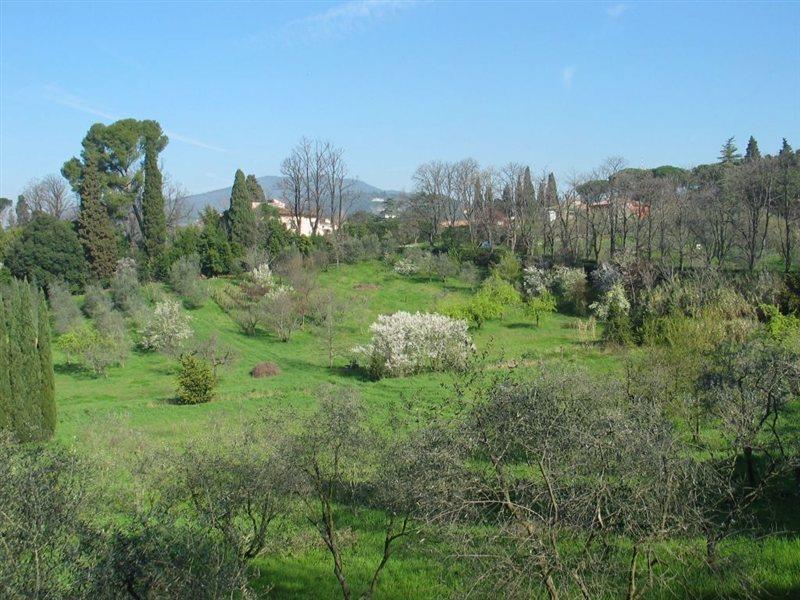 Hotel Ulivi Florence
