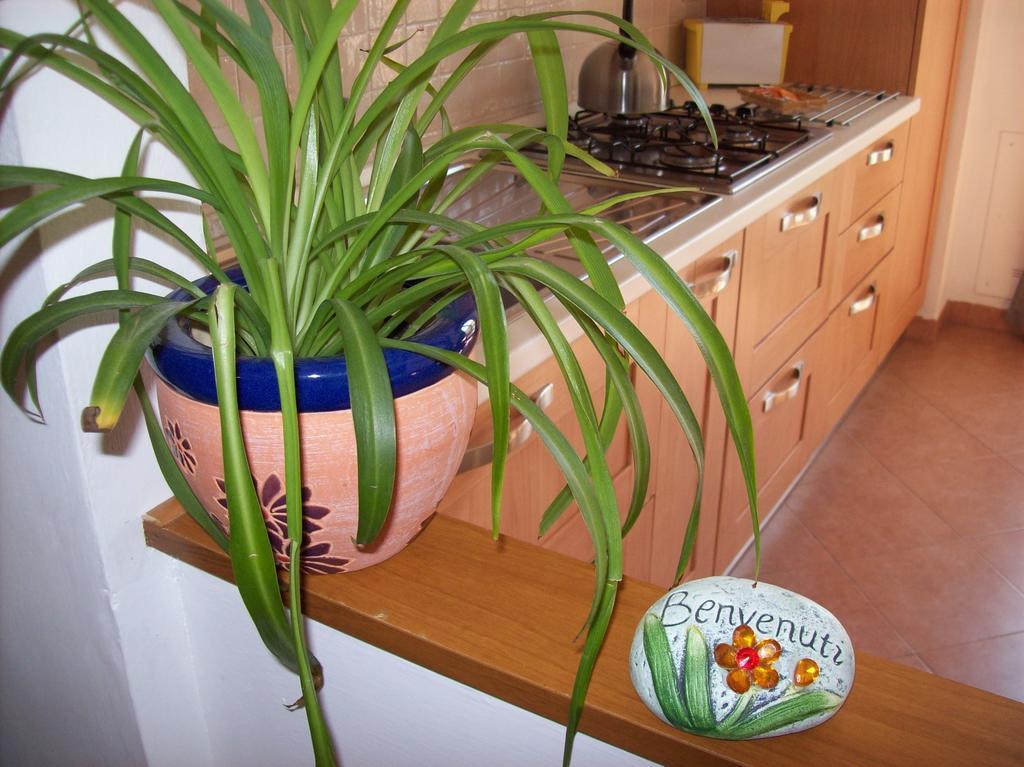 Apartamento Casa Mia *