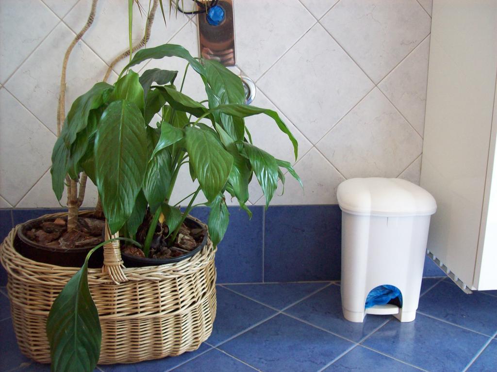 Casa Mia Appartamento