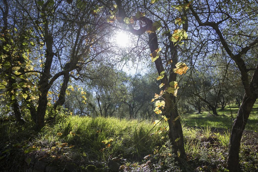 Fattoria Il Milione Farm stay