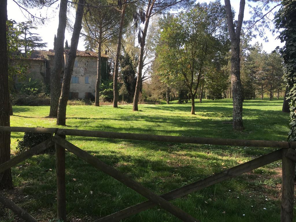 Old Town In The Green: Federico's Apartment. Appartement *