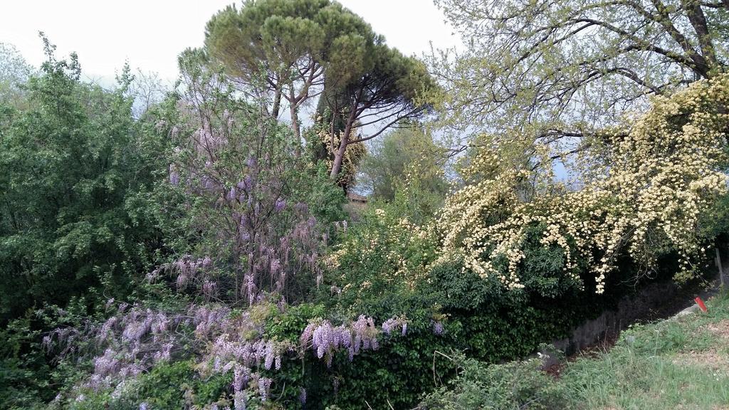 Poggio Alla Scaglia