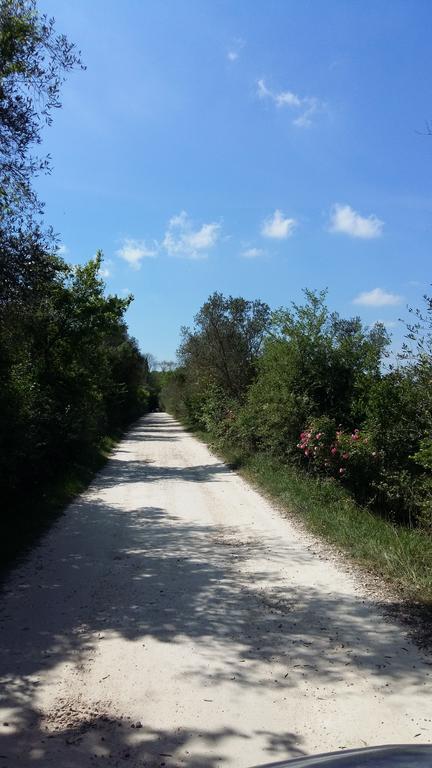 Poggio Alla Scaglia Ferienhaus