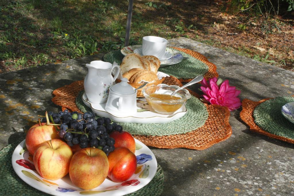Ulivi Di Castello Acomodação com café da manhã 