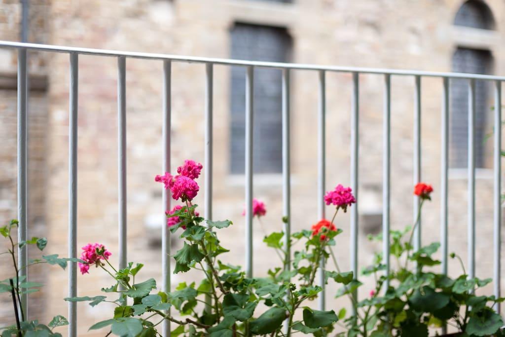 La Volognana *