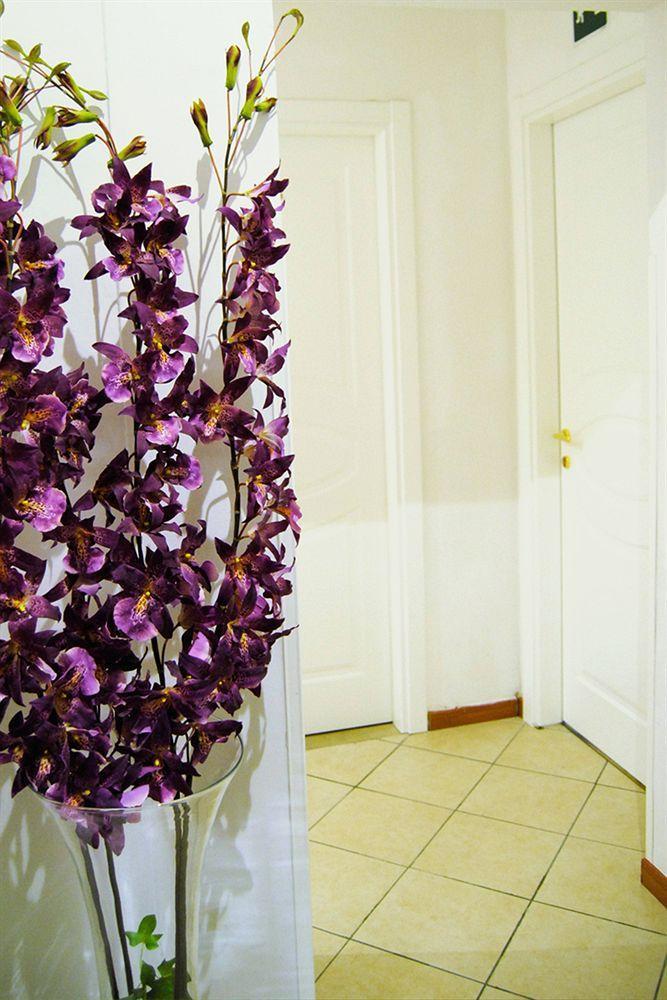 Guest house Adelaide House 2*