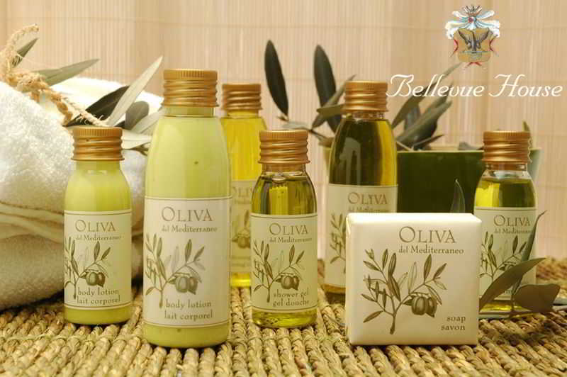 Guest house Bellevue House 3*