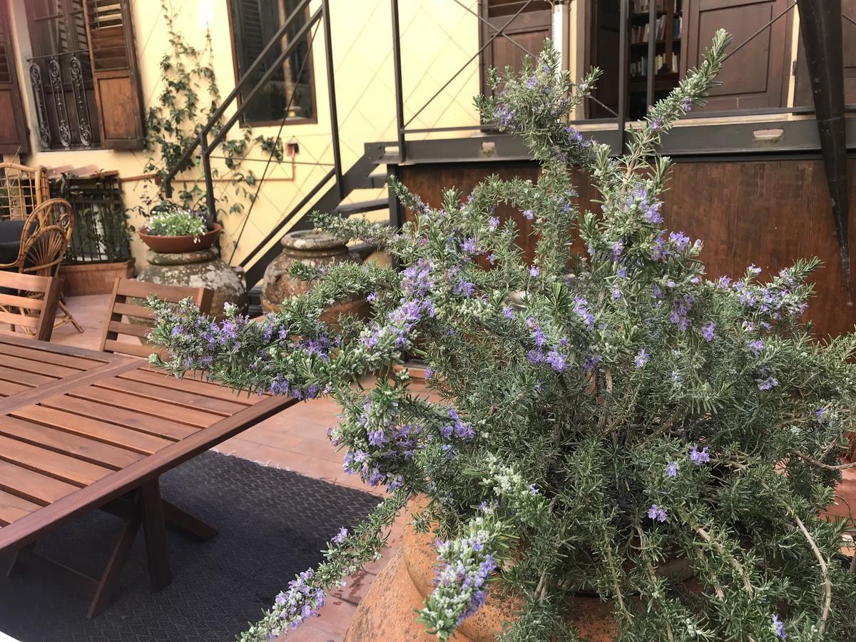 Apartment The Terrace In Santa Croce Florenz