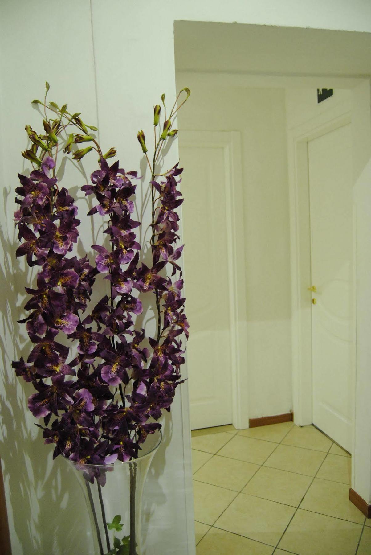 Adelaide House Guest house 2*