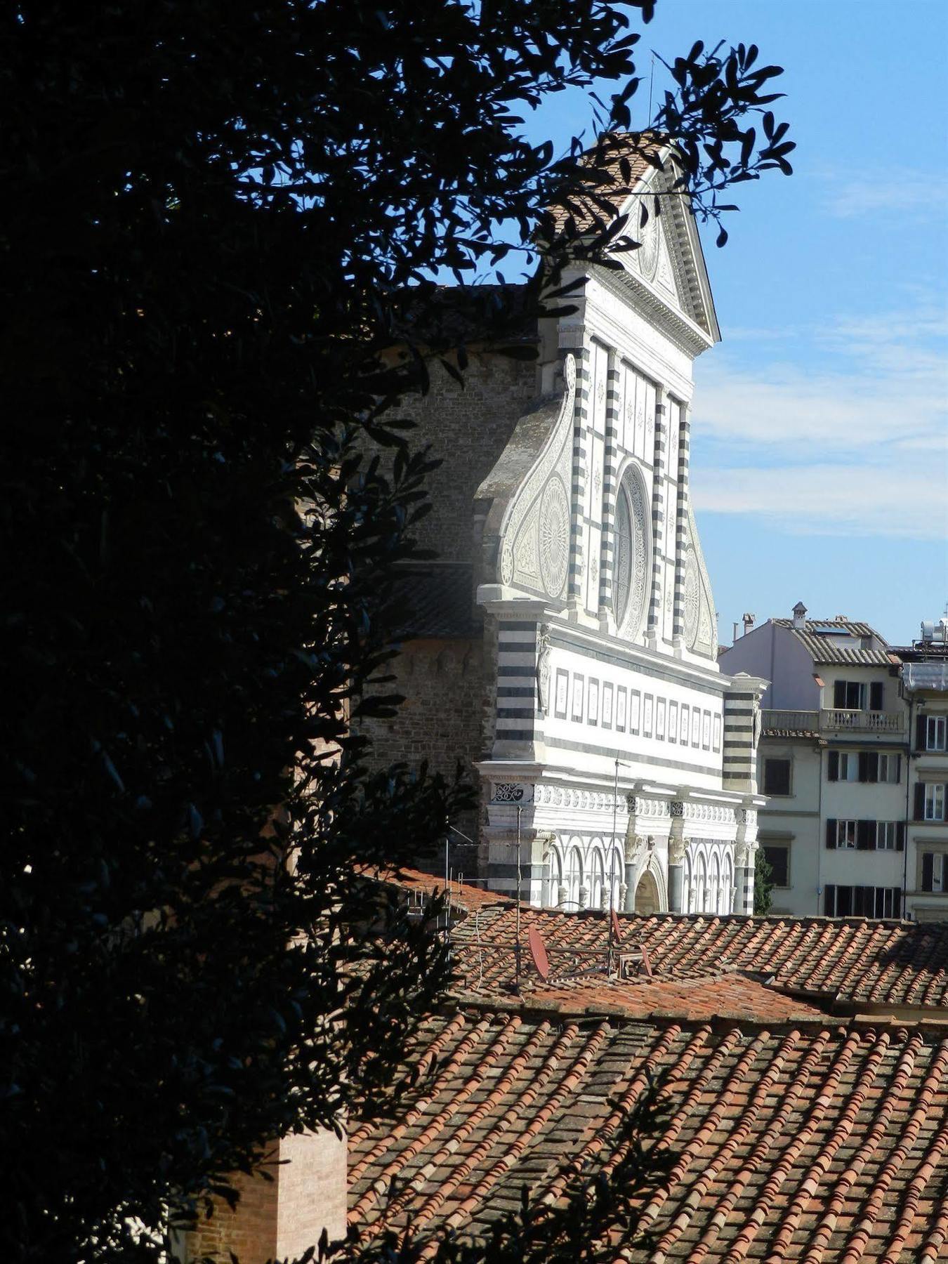 Elite Firenze