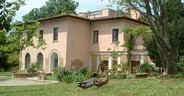 Ulivi