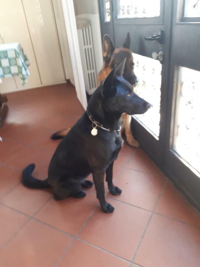 Due Abeti * Florença