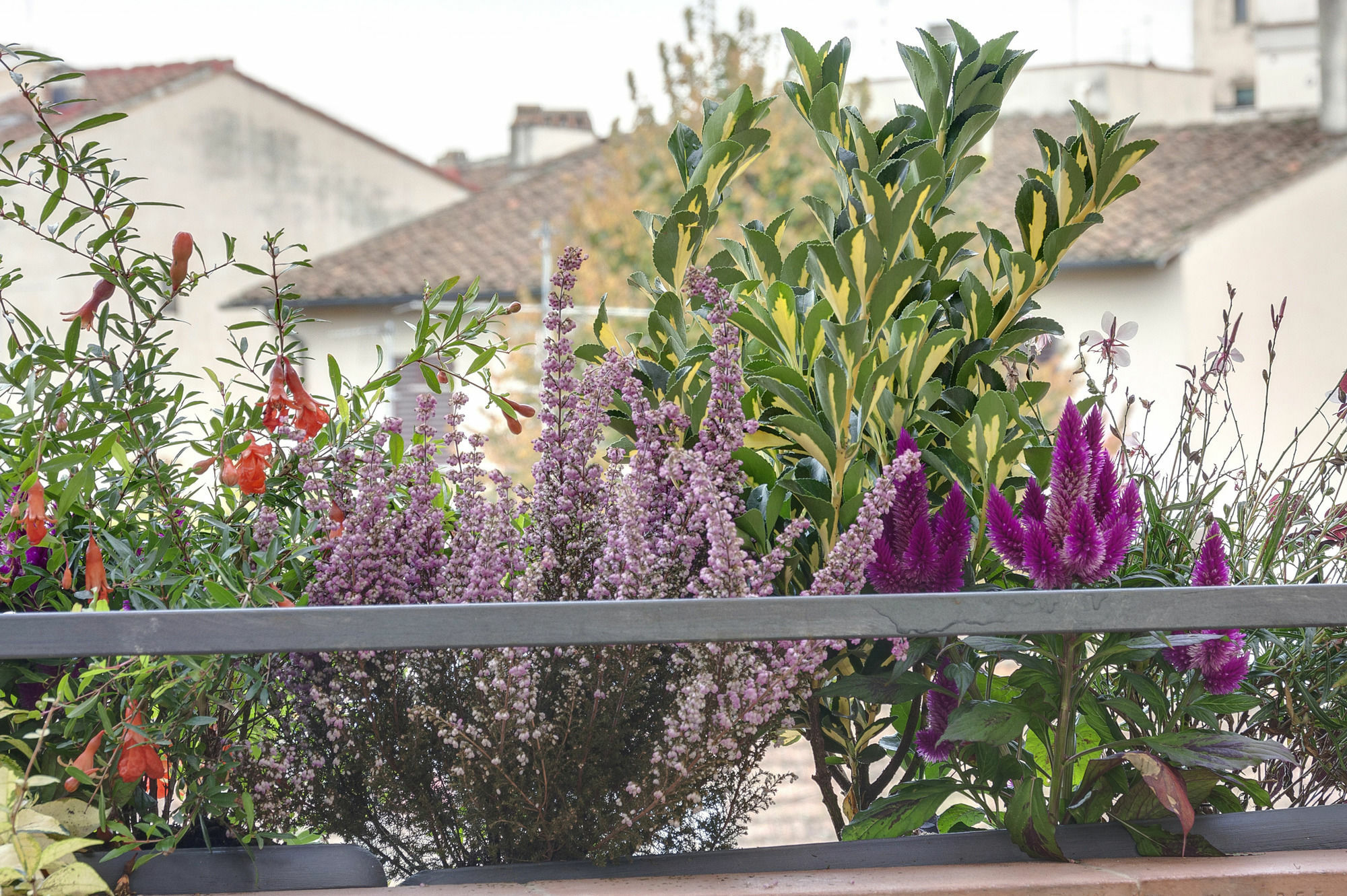 Dolce Florence