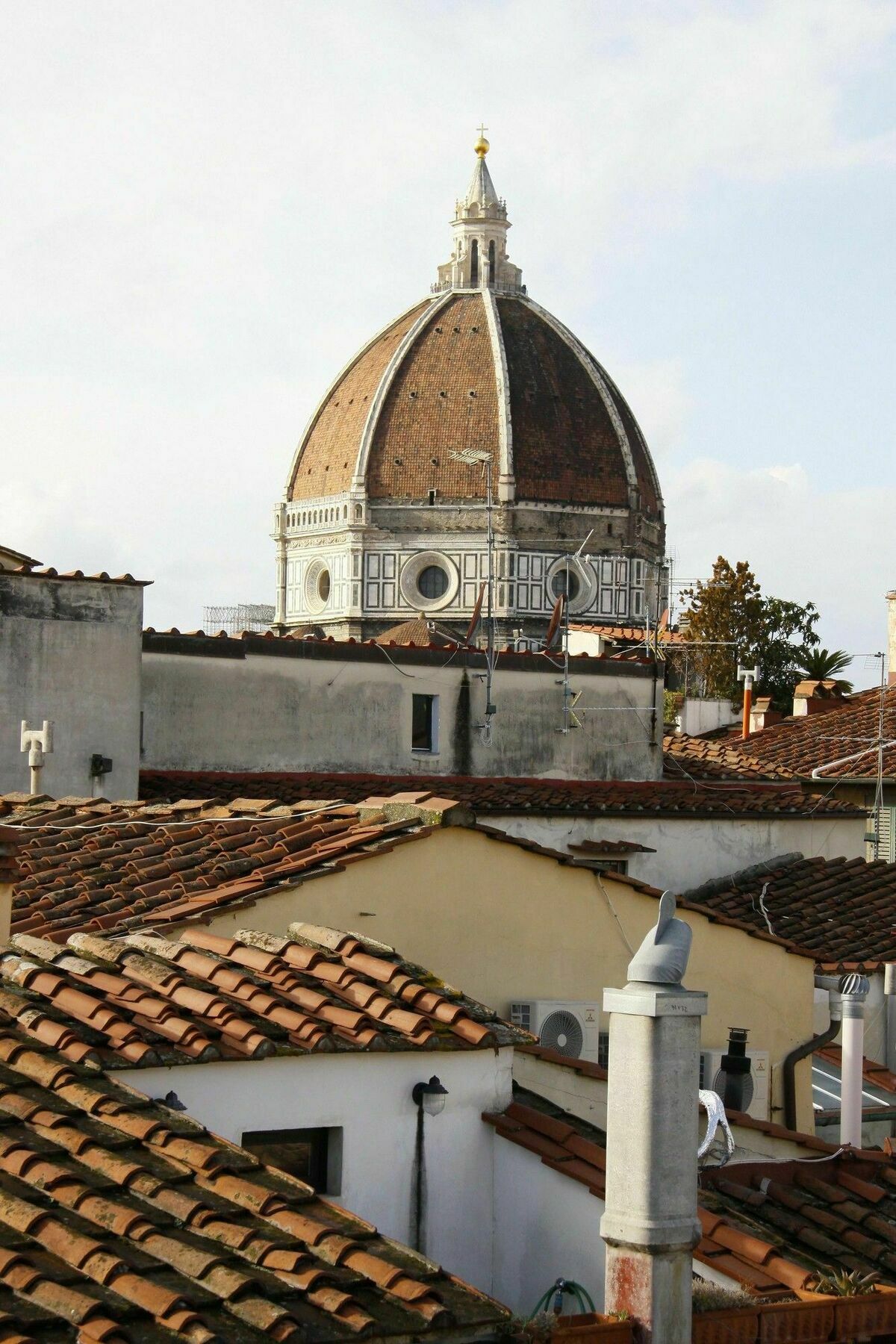 Claudia With View In Apartamento