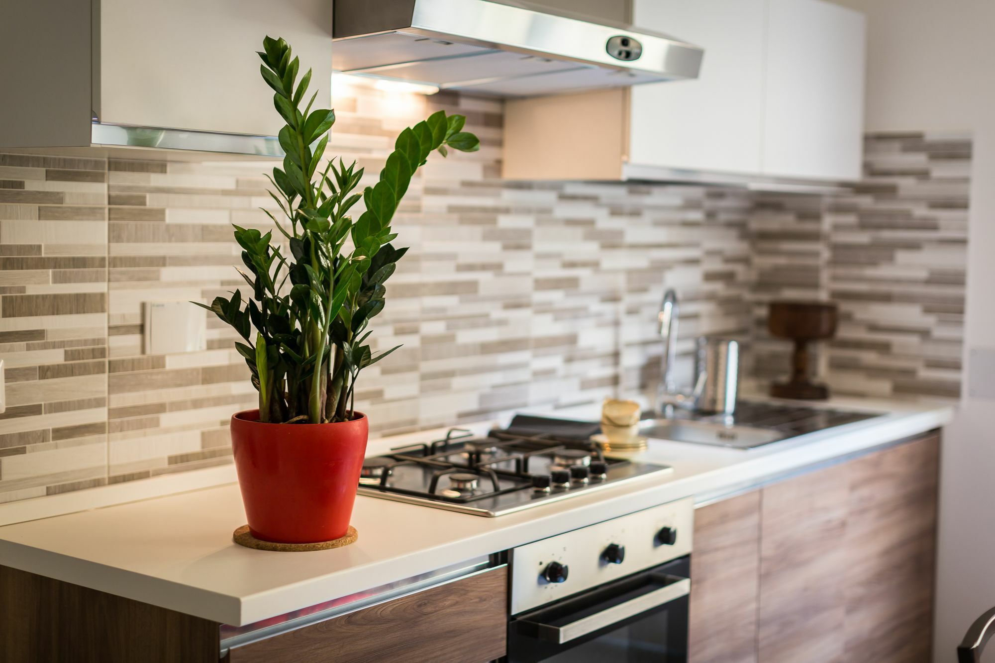 Appartement Ferrhouse