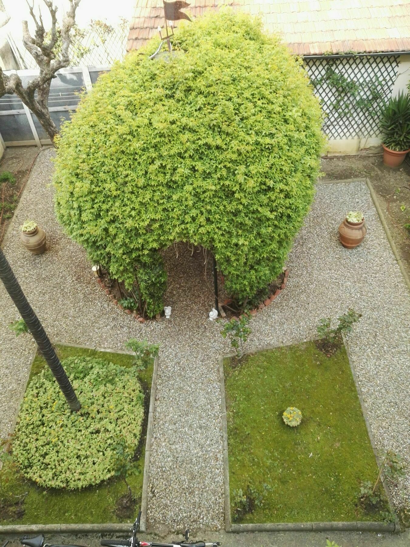 Guest house A Casa Di Lilli 3*