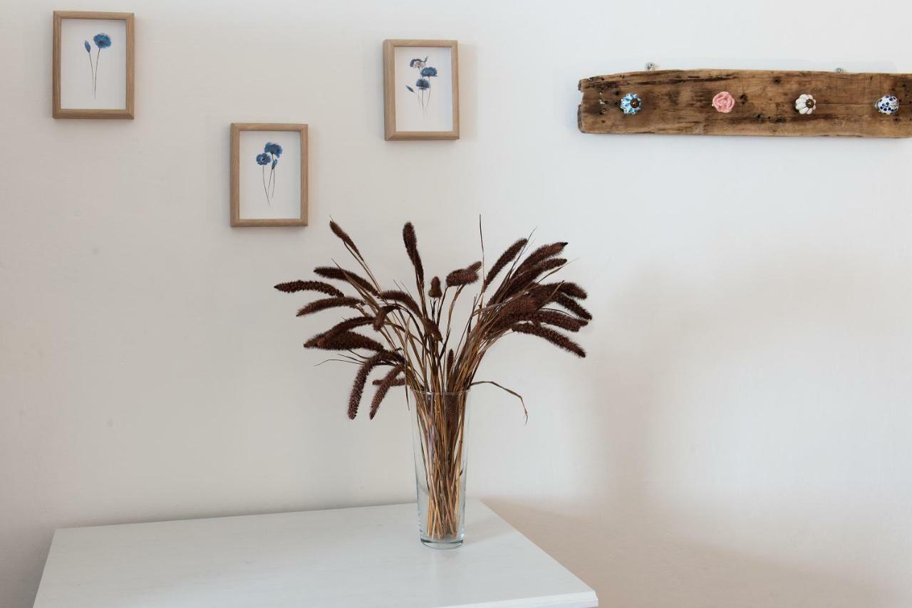 Appartamento Borgo Pinti Studio Flat
