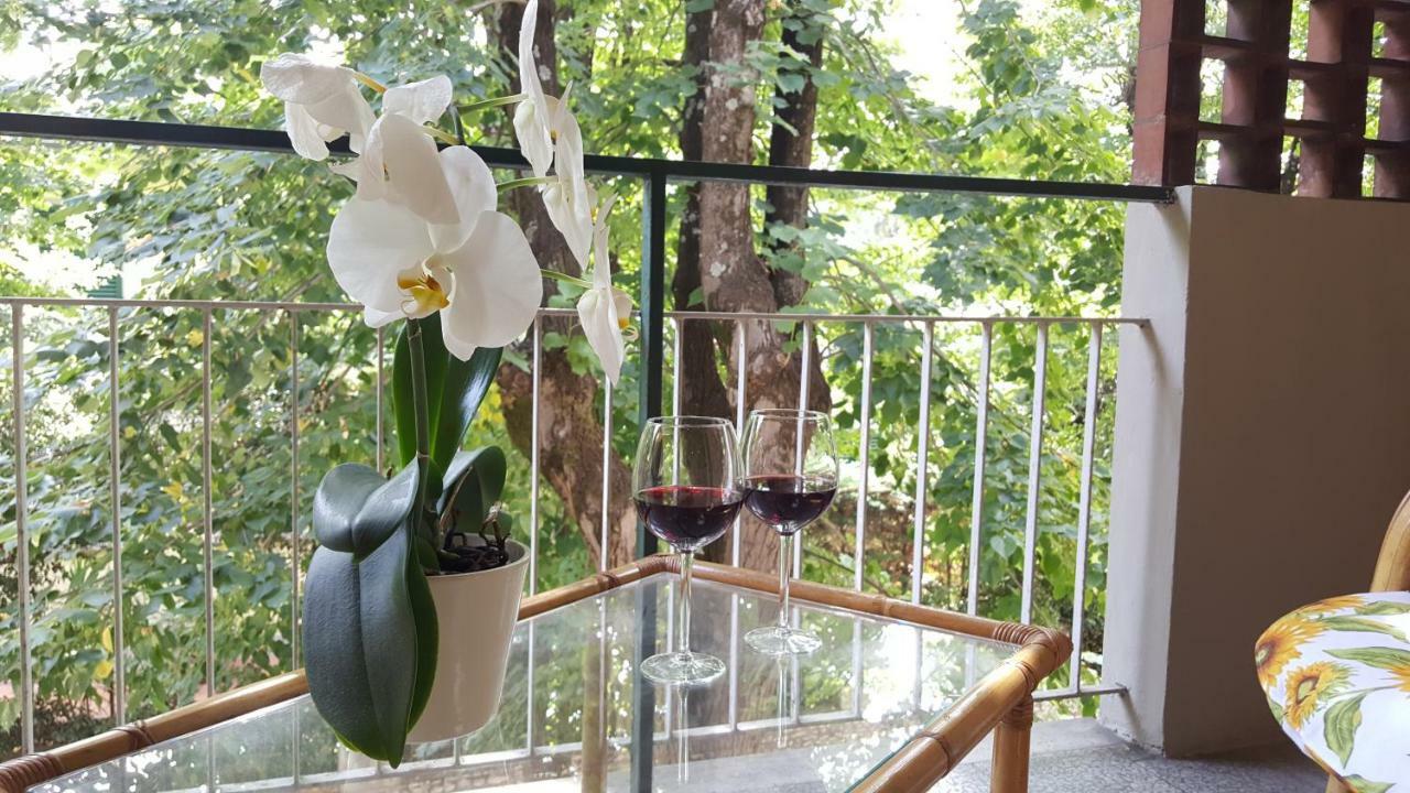 Monilvia Apartamento Florença