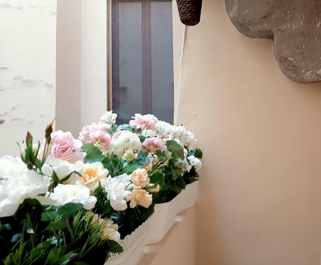 Appartamento Velvet Loft - Santo Spirito *
