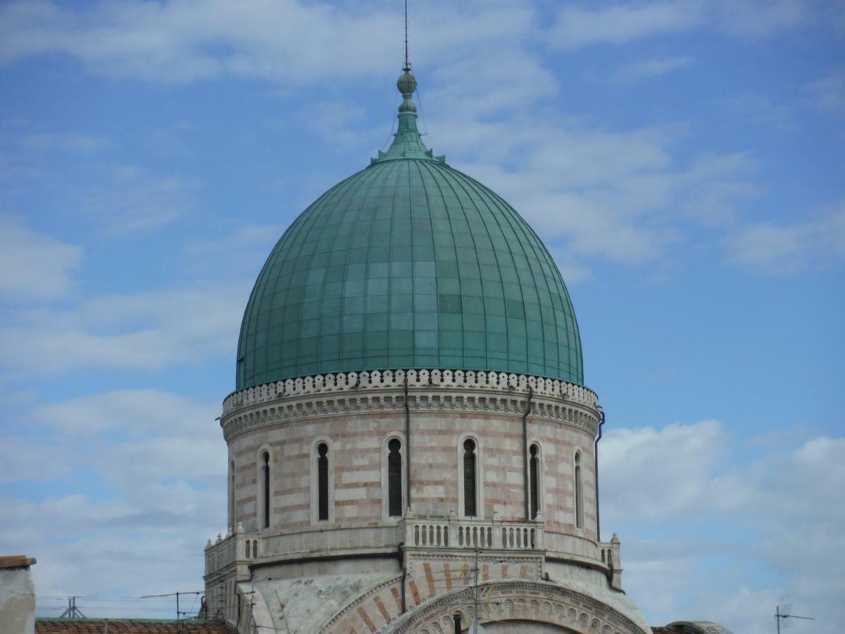 Appartement Venus Roof *