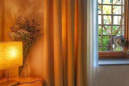 Perfect Location In Center Florence