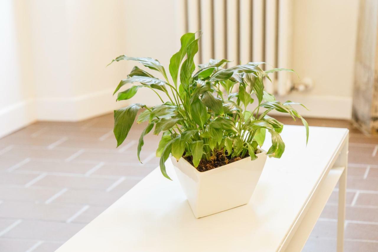 Appartement Ee Luxury *