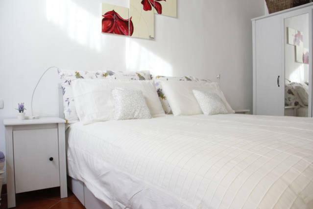 Art Santa Maria Appartement *